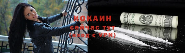 ПСИЛОЦИБИНОВЫЕ ГРИБЫ Верхний Тагил