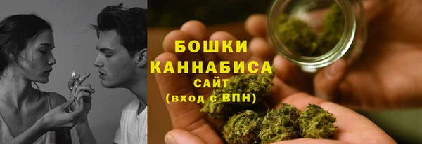 ПСИЛОЦИБИНОВЫЕ ГРИБЫ Верхний Тагил