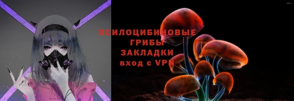 ПСИЛОЦИБИНОВЫЕ ГРИБЫ Верхний Тагил