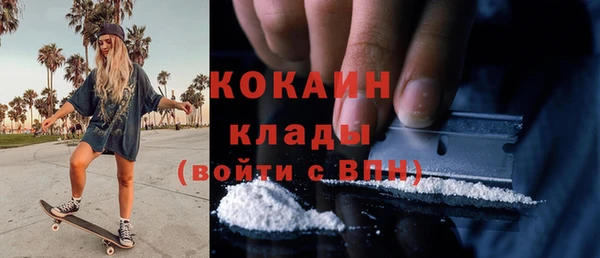 ПСИЛОЦИБИНОВЫЕ ГРИБЫ Верхний Тагил