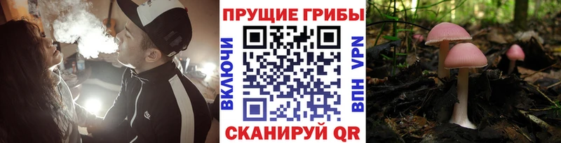 Псилоцибиновые грибы ЛСД  Волчанск 